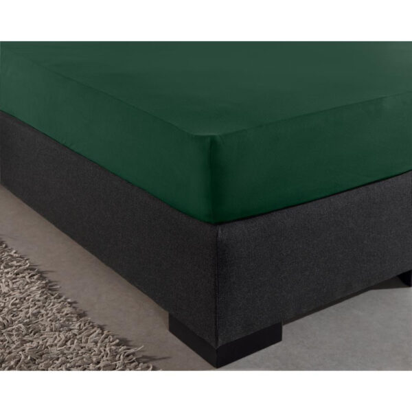 Dubbel Jersey 220 gr. Hoeslaken Botanisch Groen 160/180 x 200/220 - Afbeelding 4