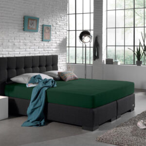 Dubbel Jersey 220 gr. Hoeslaken Botanisch Groen 160/180 x 200/220