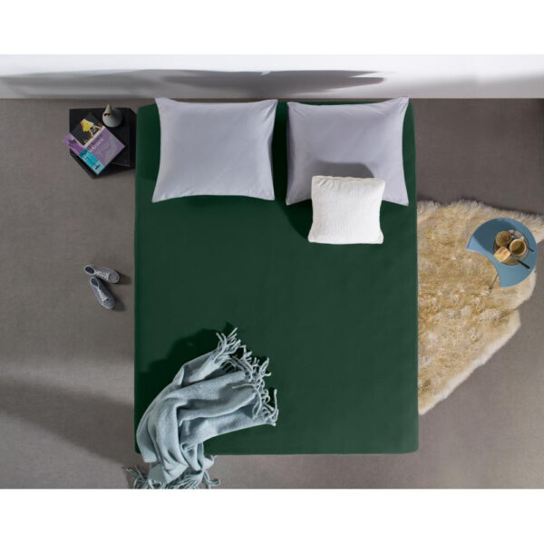 Dubbel Jersey 220 gr. Hoeslaken Botanisch Groen 160/180 x 200/220 - Afbeelding 5