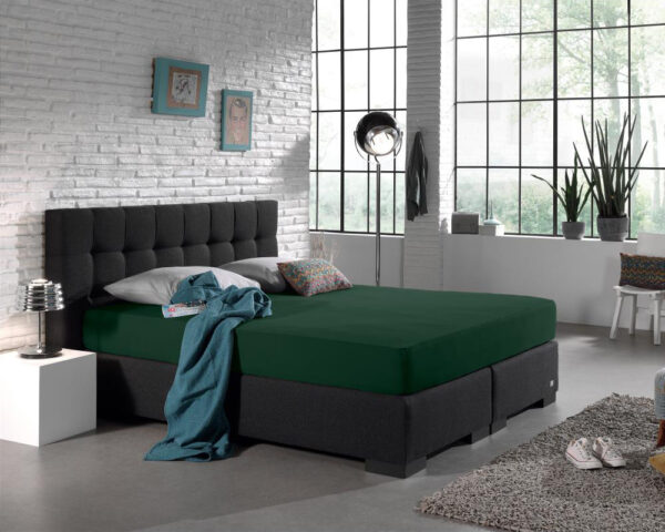 Dubbel Jersey 220 gr. Hoeslaken Botanisch Groen 190/200 x 220/230 - Afbeelding 2