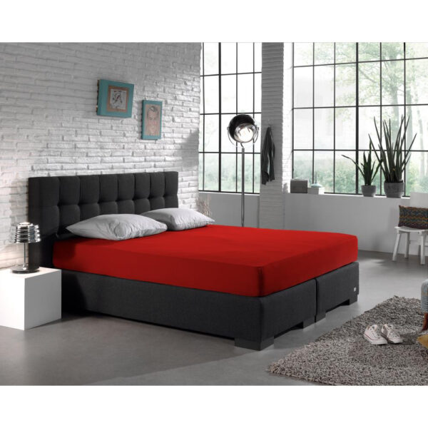 Dubbel Jersey 220 gr. Hoeslaken Rood 160/180 x 200/220 - Afbeelding 2