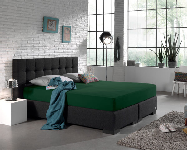 Enkel Jersey 135 gr. Hoeslaken Botanisch Groen 140 x 200 - Afbeelding 2