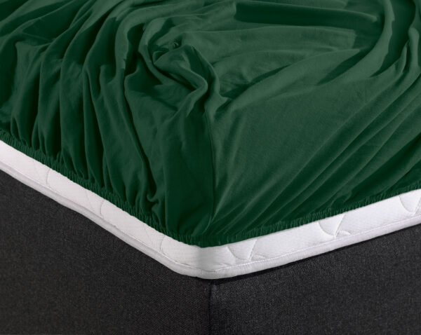 Enkel Jersey 135 gr. Hoeslaken Botanisch Groen 140 x 200 - Afbeelding 3