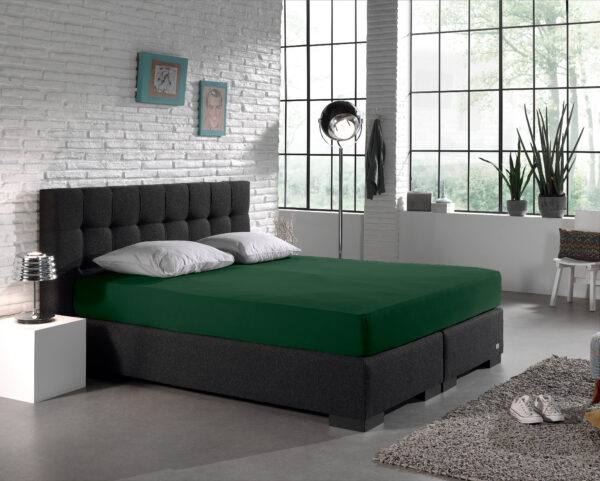Enkel Jersey 135 gr. Hoeslaken Botanisch Groen 140 x 200 - Afbeelding 4