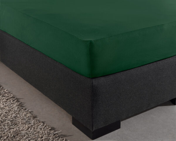 Enkel Jersey 135 gr. Hoeslaken Botanisch Groen 80/100 x 200 - Afbeelding 2