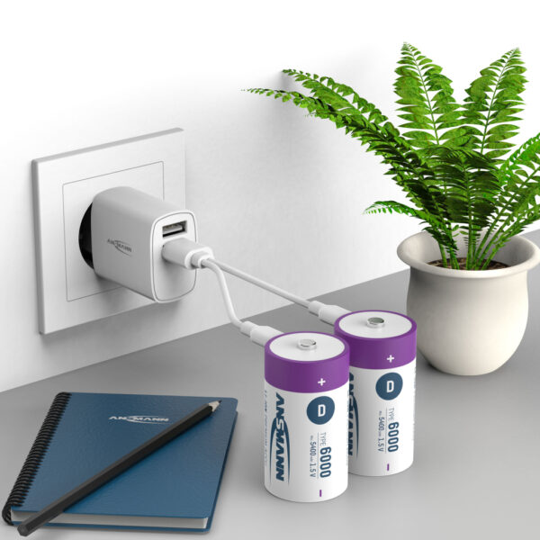 Ansmann Oplaadbaar Batterij D En Usb-c - Afbeelding 4