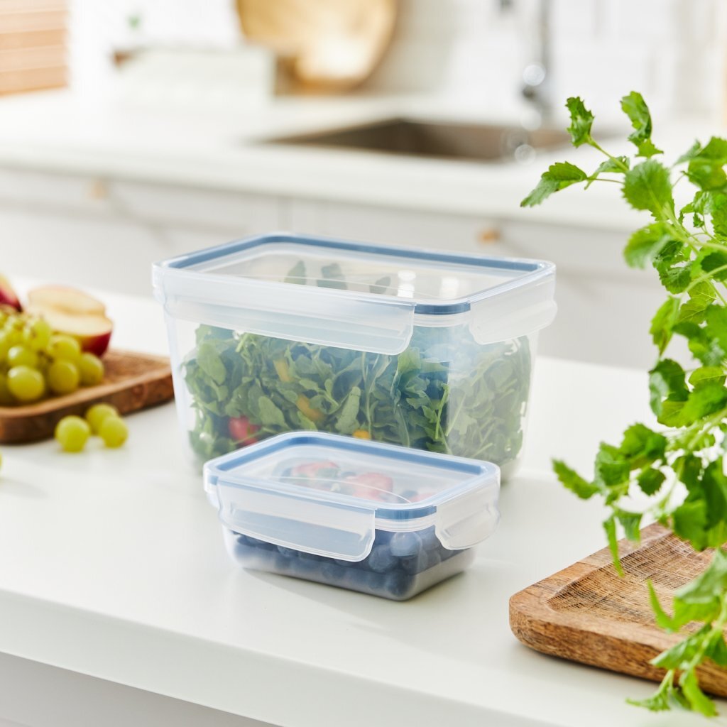 Rotho Clic & Lock Koelkast Bewaardoos 0.5L Horizon Blauw/Transparant - Afbeelding 2