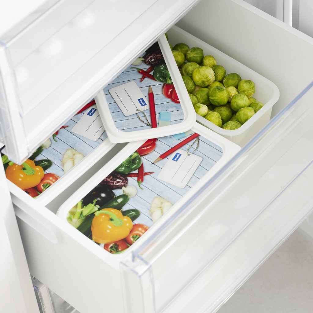 Rotho Domino Diepvriesdozen Etiket Decor 3x1.5L Wit - Afbeelding 2